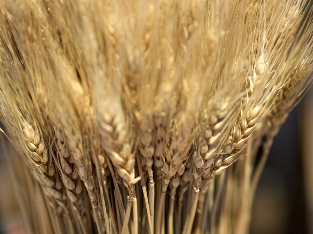 小麦粉の保存方法