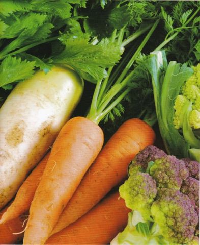野菜の賞味期限と保存方法